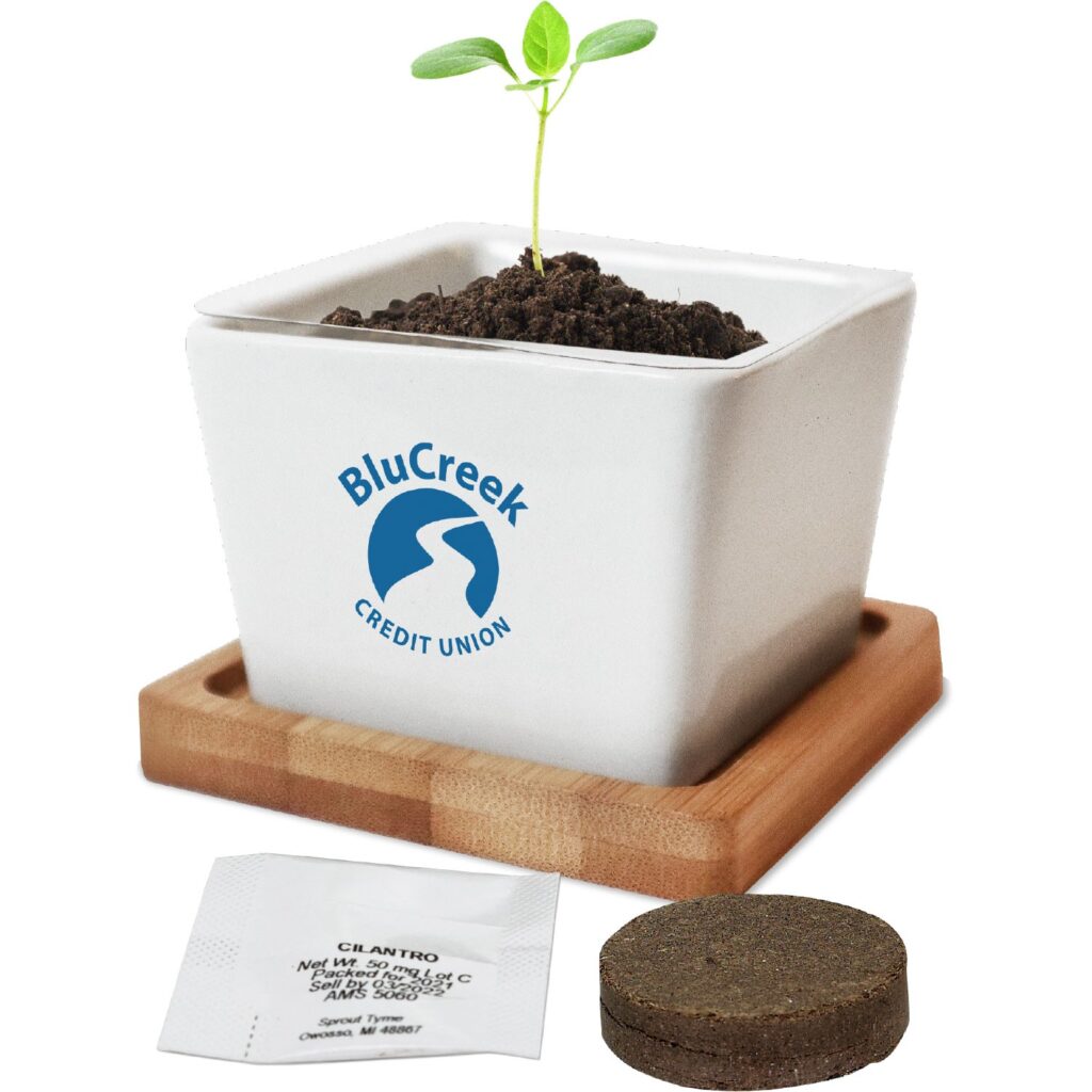 This two-piece branded planter adds style and a refreshing vibe to any space.