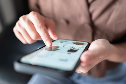 A person browsing an online company store